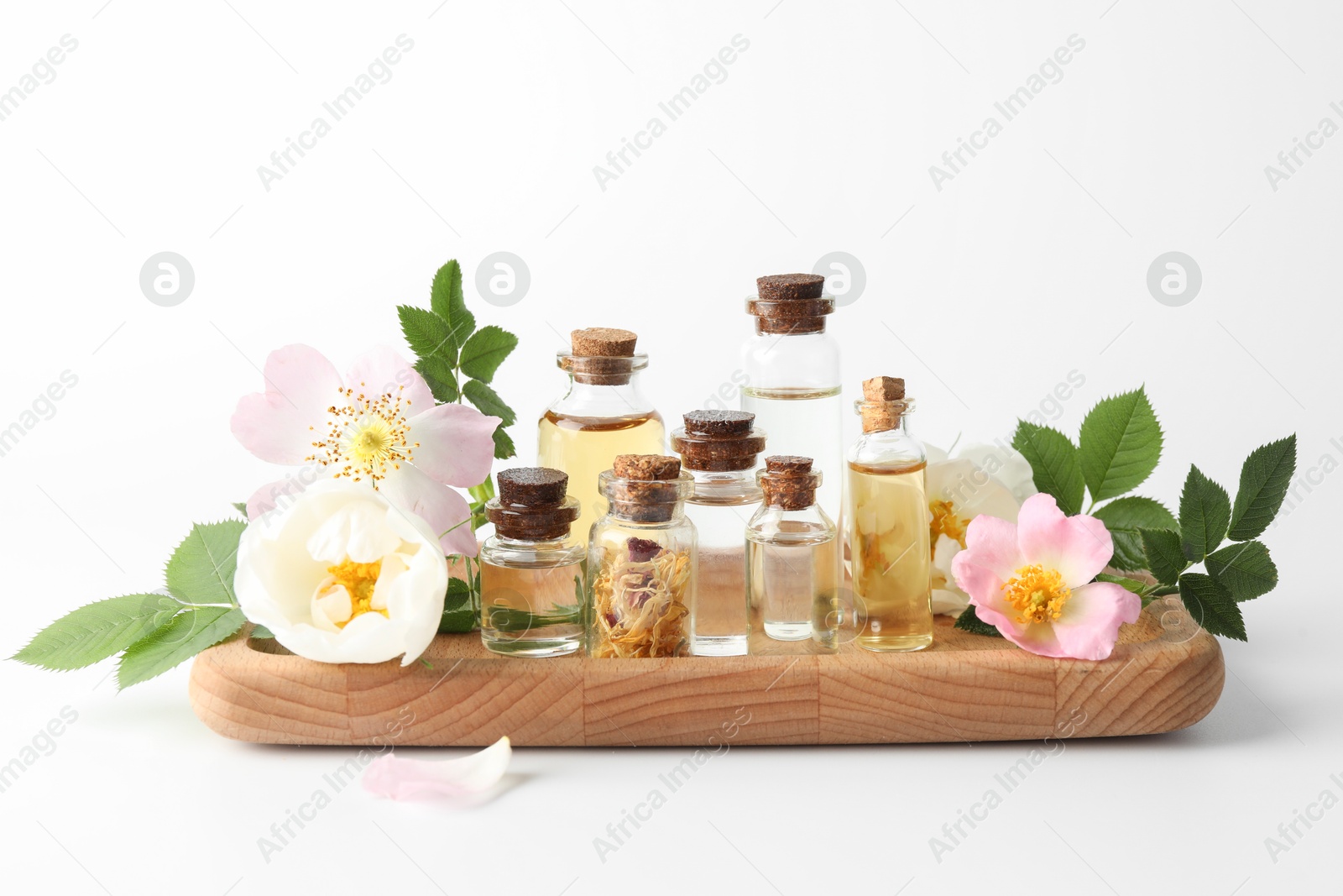 Photo of Aromatherapy. Different essential oils, flowers and green leaves on white background