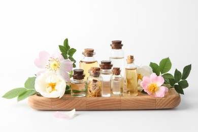 Photo of Aromatherapy. Different essential oils, flowers and green leaves on white background