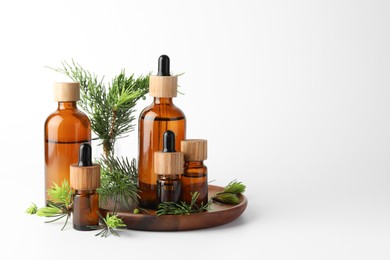 Aromatherapy. Different essential oils and fir twigs on white background, space for text