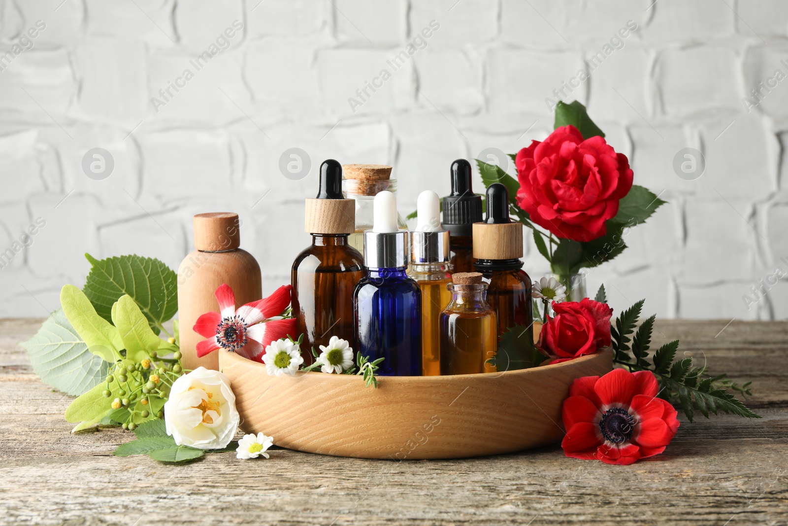 Photo of Aromatherapy. Different essential oils, flowers and green leaves on wooden table