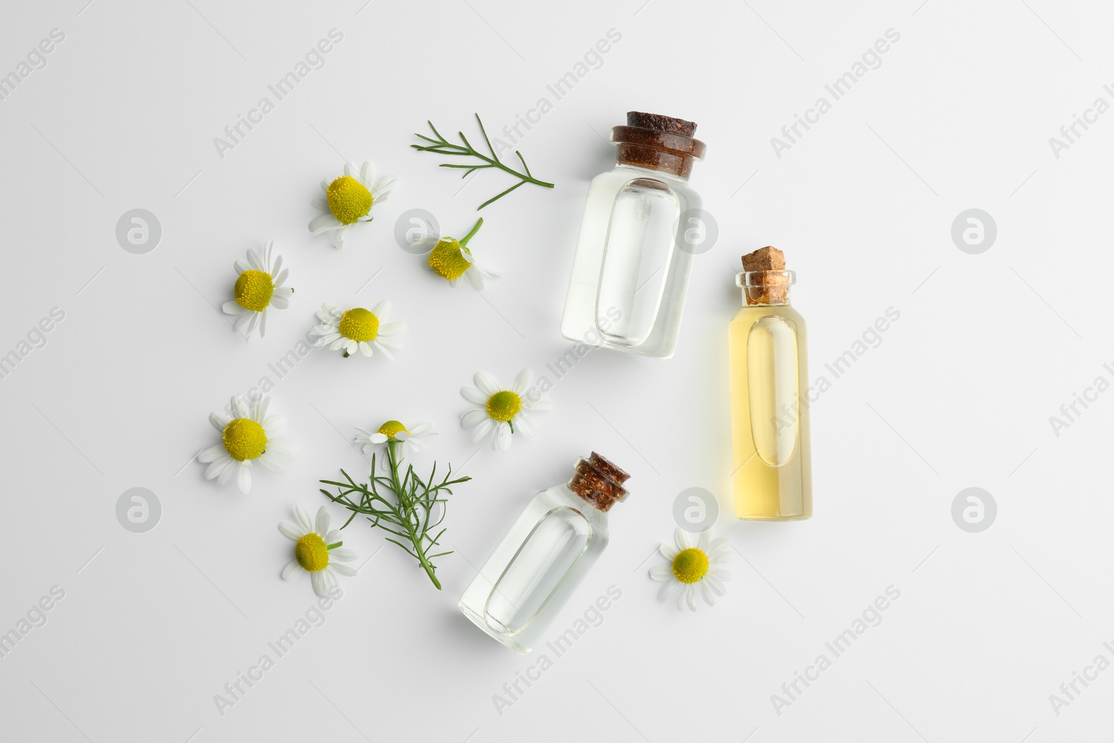 Photo of Aromatherapy. Essential oils and chamomiles on white background, flat lay