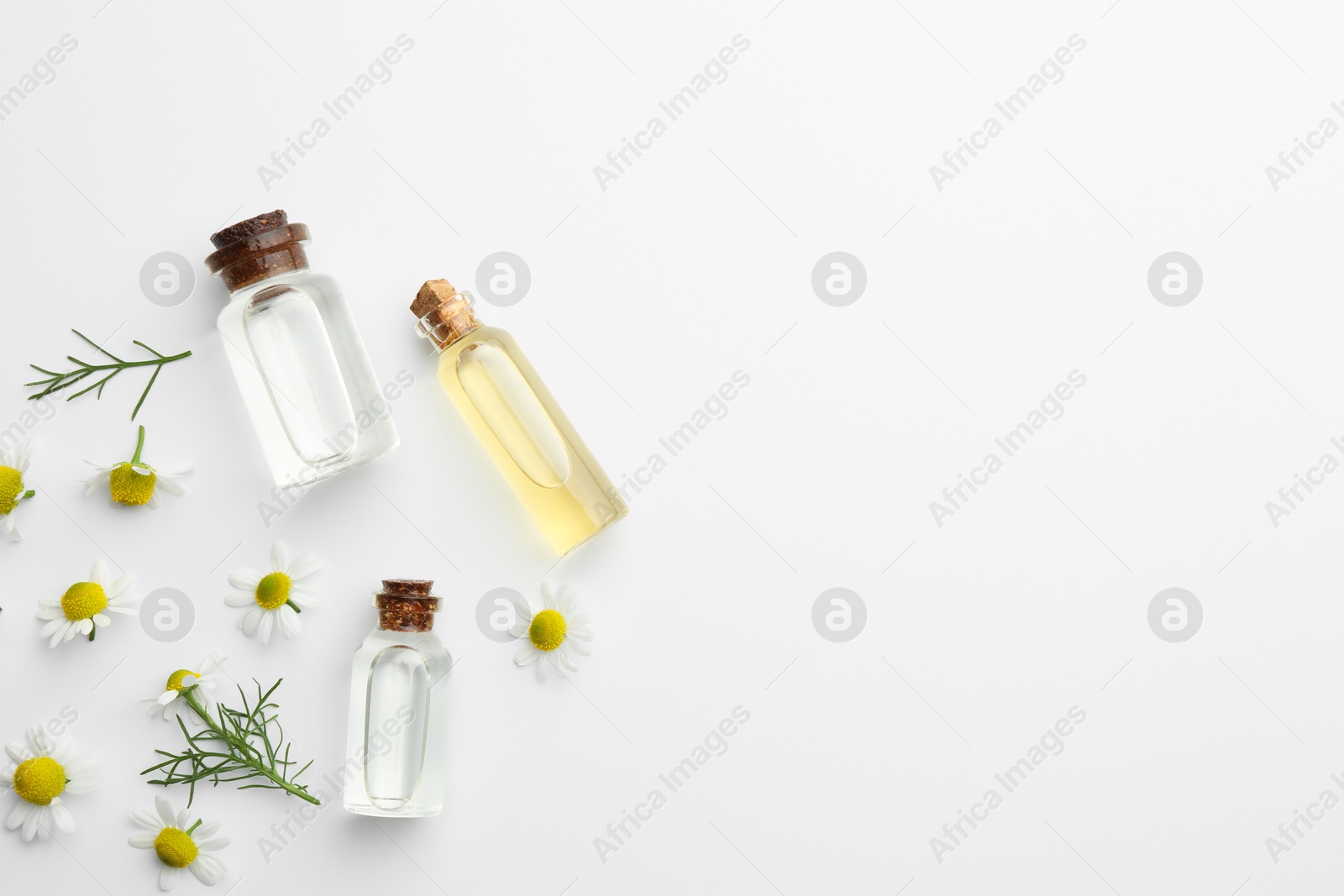 Photo of Aromatherapy. Essential oils and chamomiles on white background, flat lay. Space for text