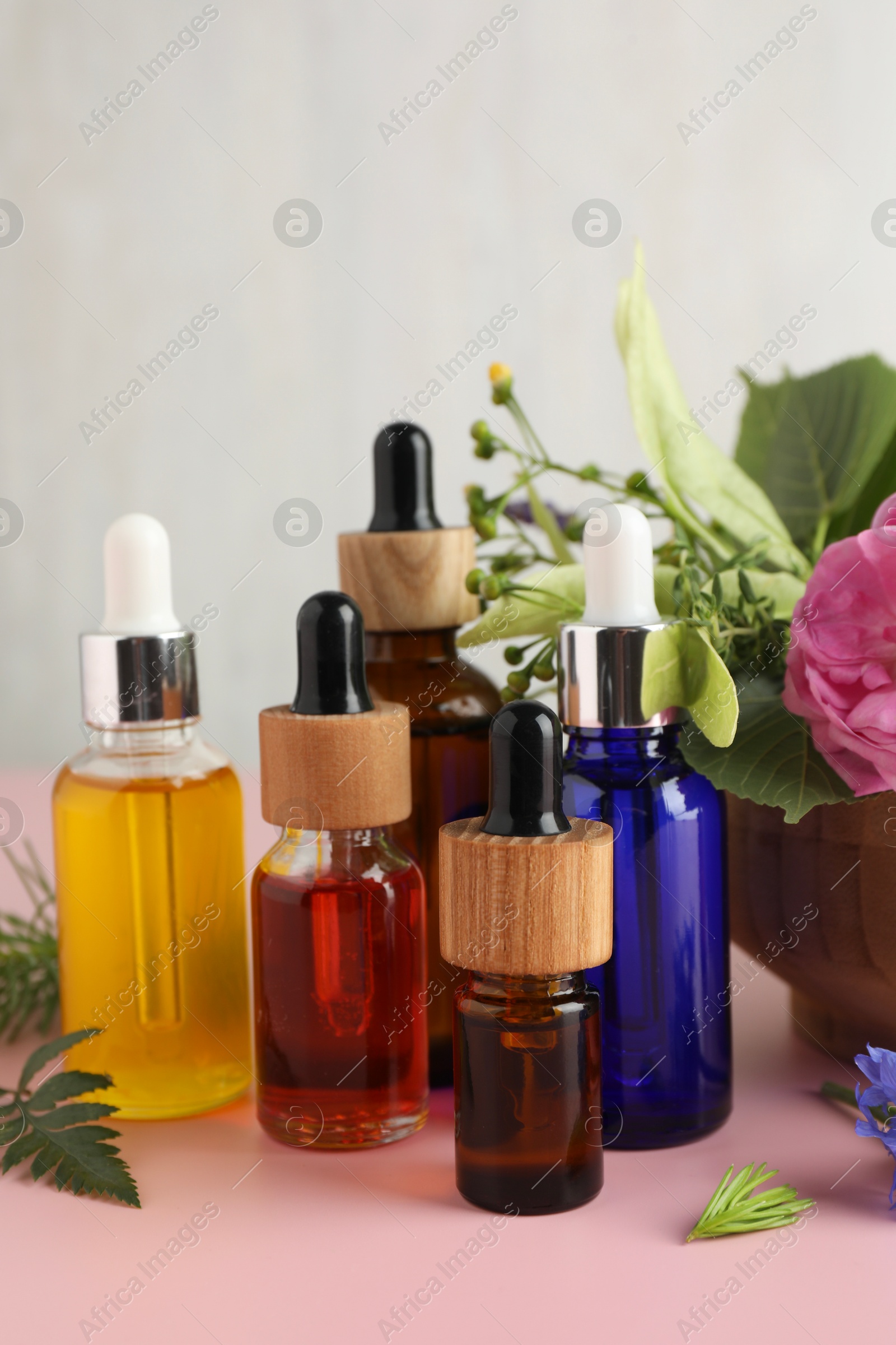 Photo of Aromatherapy. Different essential oils and flowers on pink table