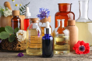 Aromatherapy. Different essential oils, flowers and green leaves on wooden table