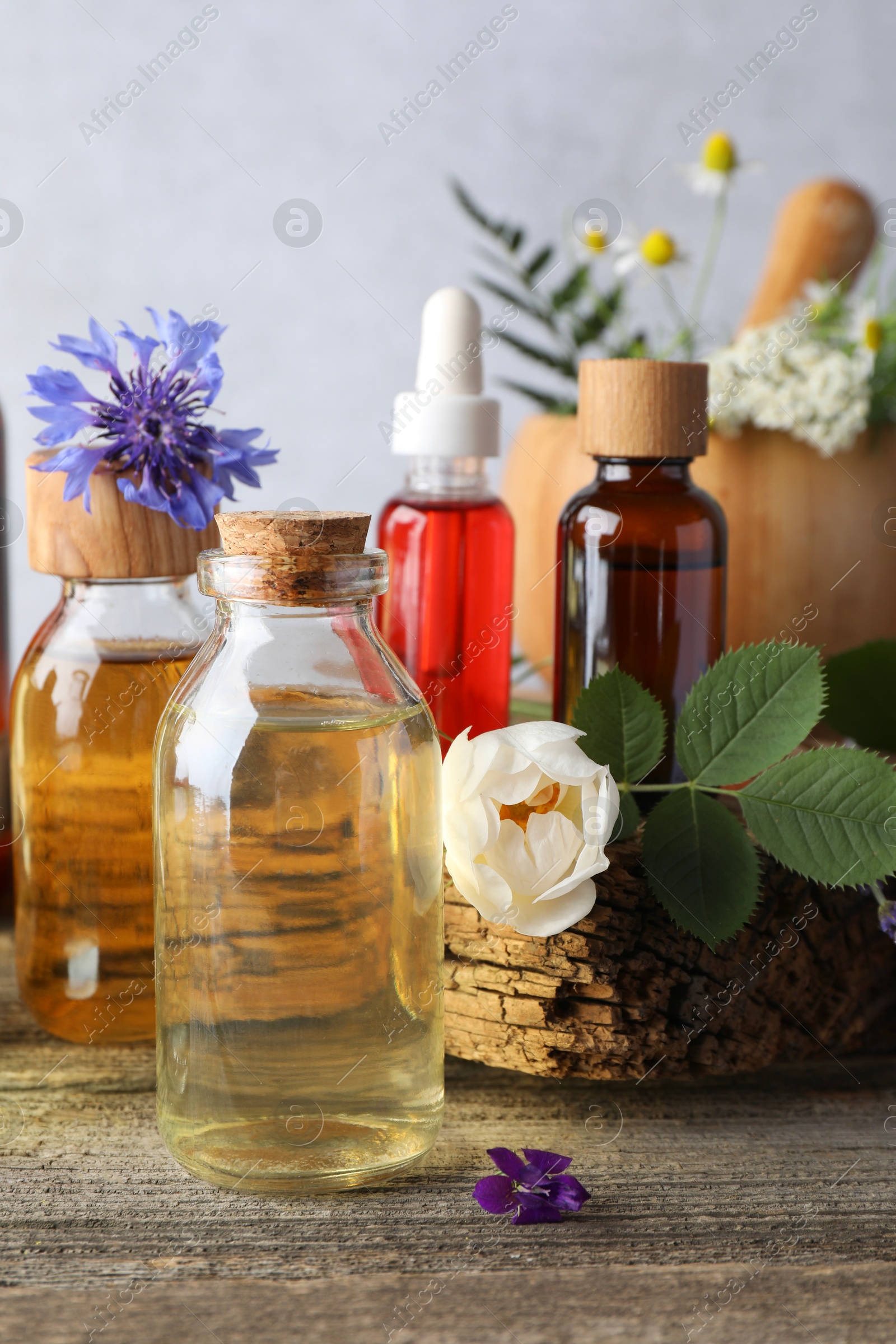 Photo of Aromatherapy. Different essential oils, flowers and green leaves on wooden table