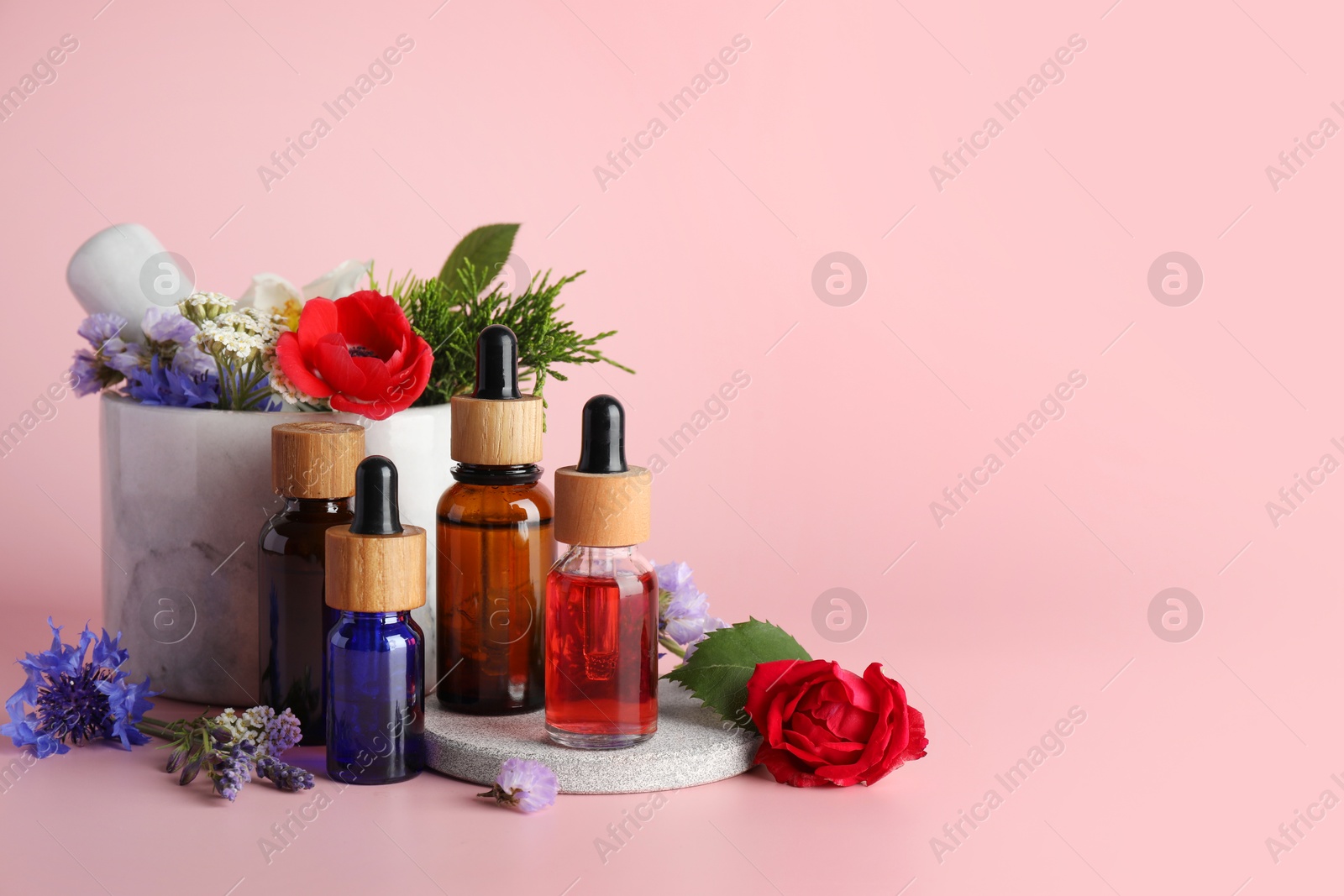 Photo of Aromatherapy. Different essential oils, flowers, mortar and pestle on pink background, space for text