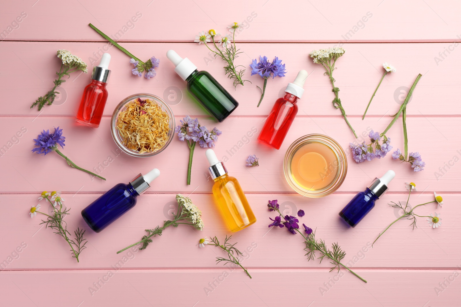 Photo of Aromatherapy. Different essential oils and flowers on pink wooden table, flat lay