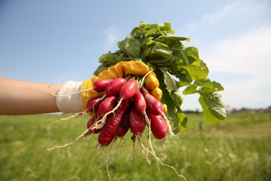 Photo of Farmer holding bunch of freshly harvested radishes in field, closeup