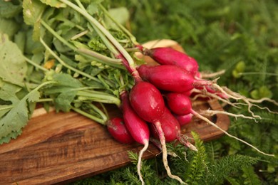 Photo of Bunch of freshly harvested radishes on green grass, closeup