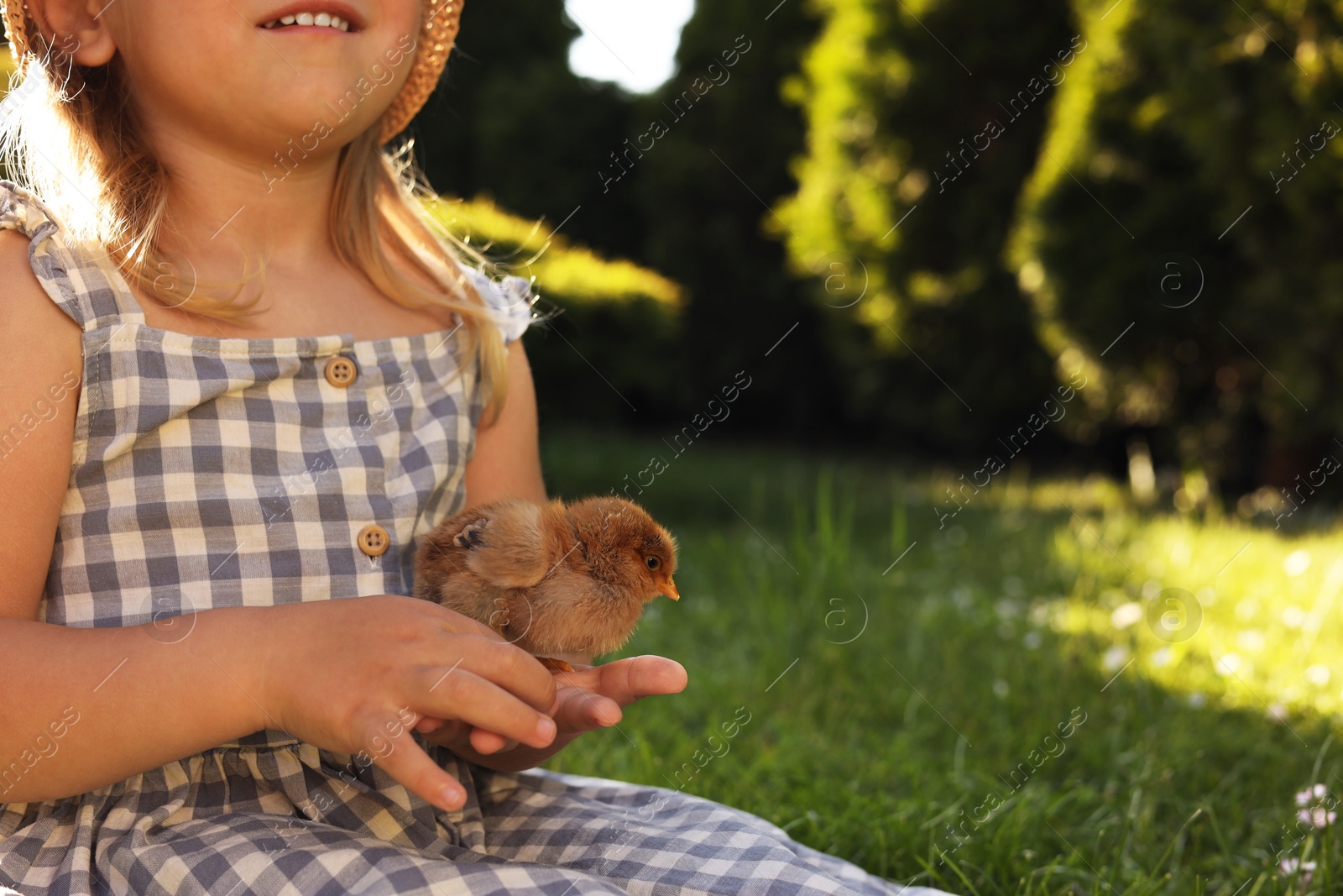 Photo of Little girl with cute chick outdoors, closeup. Baby animal