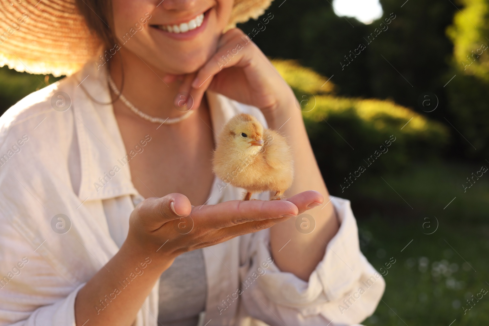 Photo of Woman holding cute chick outdoors, selective focus