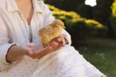 Photo of Woman holding cute chick outdoors, selective focus