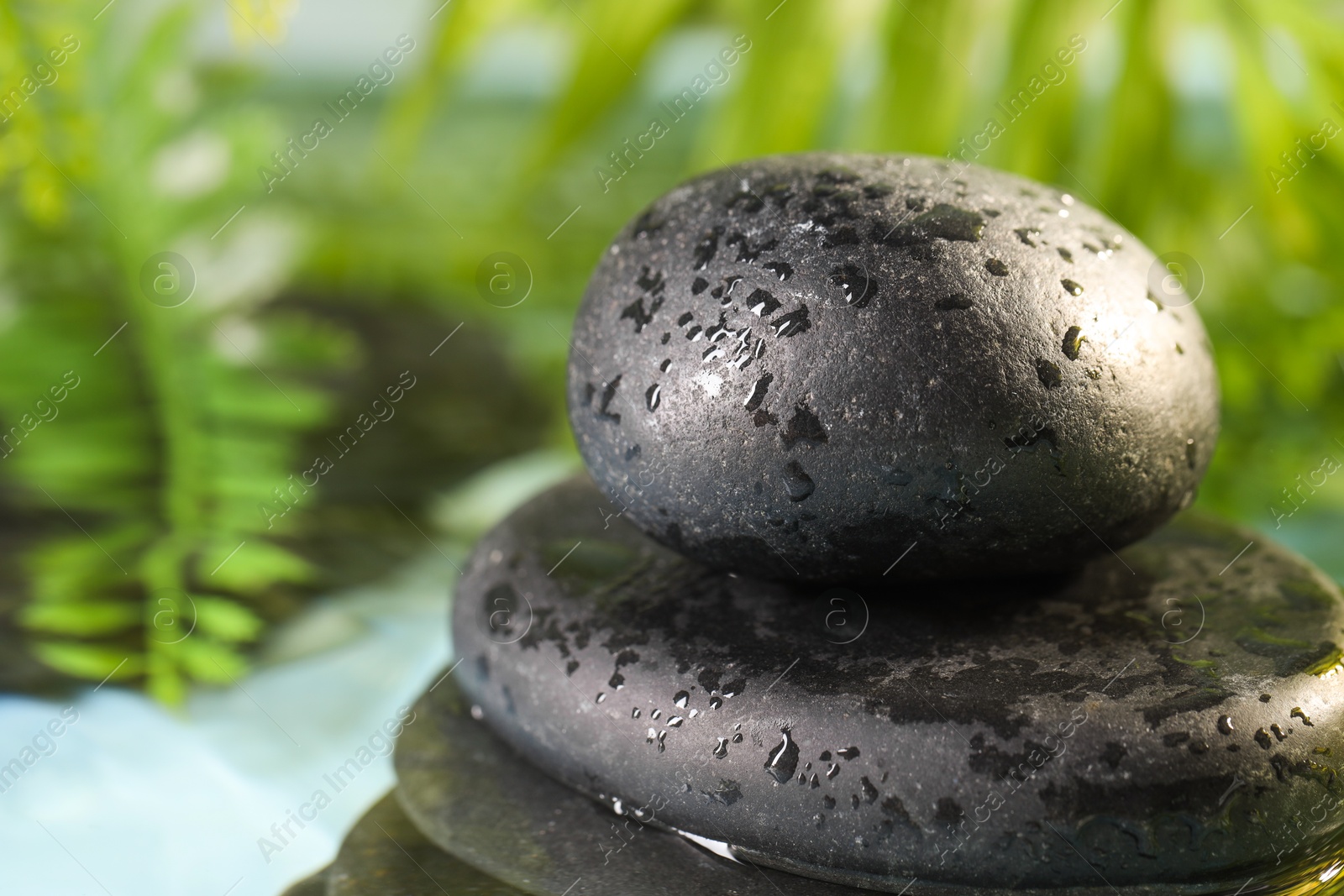 Photo of Wet spa stones on blurred background, closeup