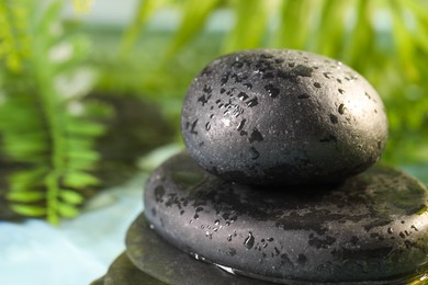 Wet spa stones on blurred background, closeup