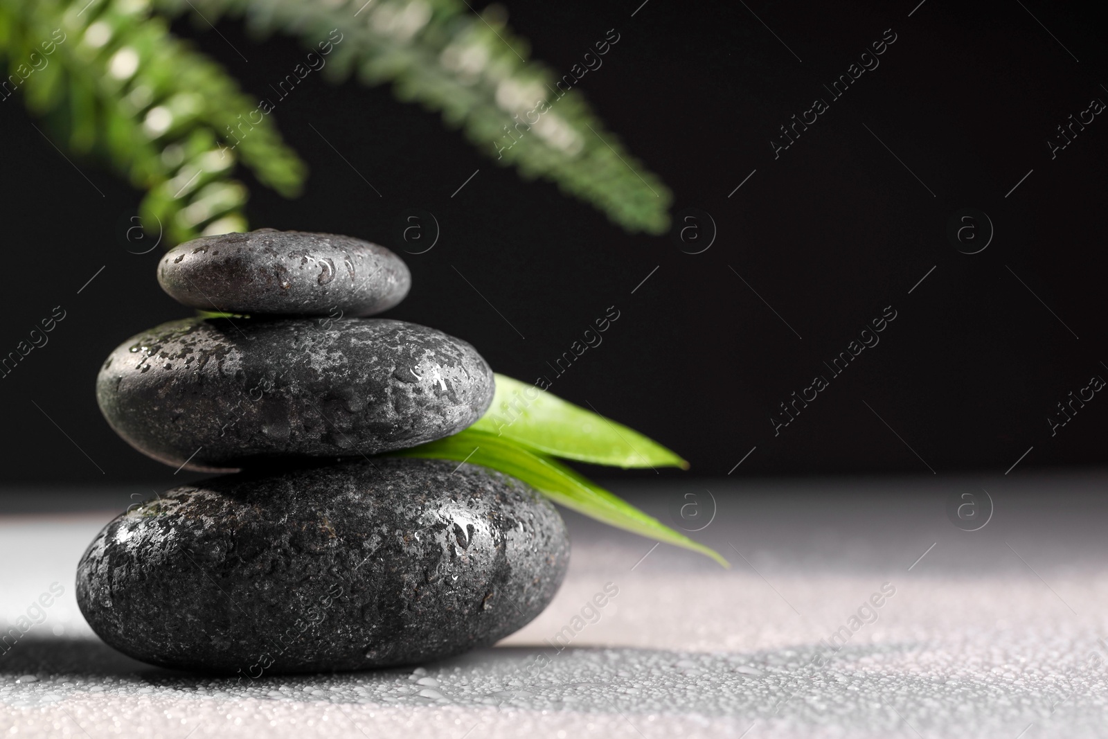 Photo of Wet spa stones and green leaves on grey background. Space for text