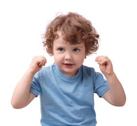 Portrait of cute little boy on white background