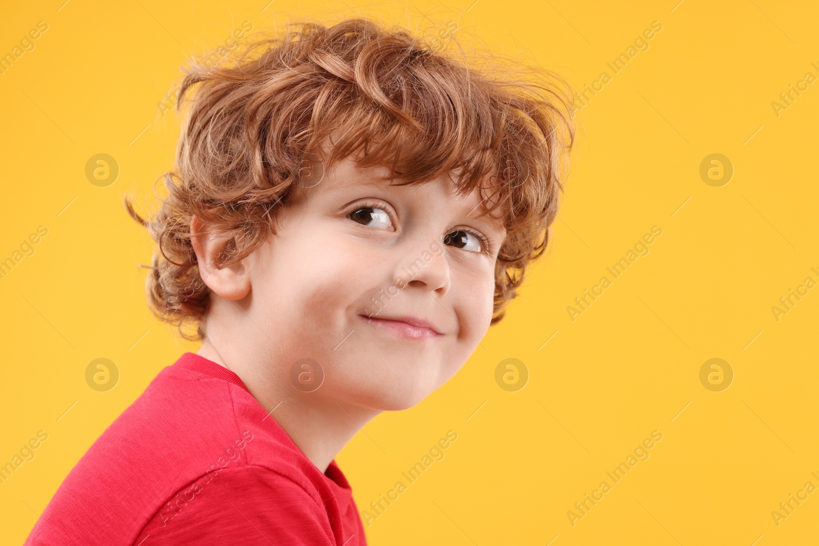 Photo of Portrait of cute little boy on orange background