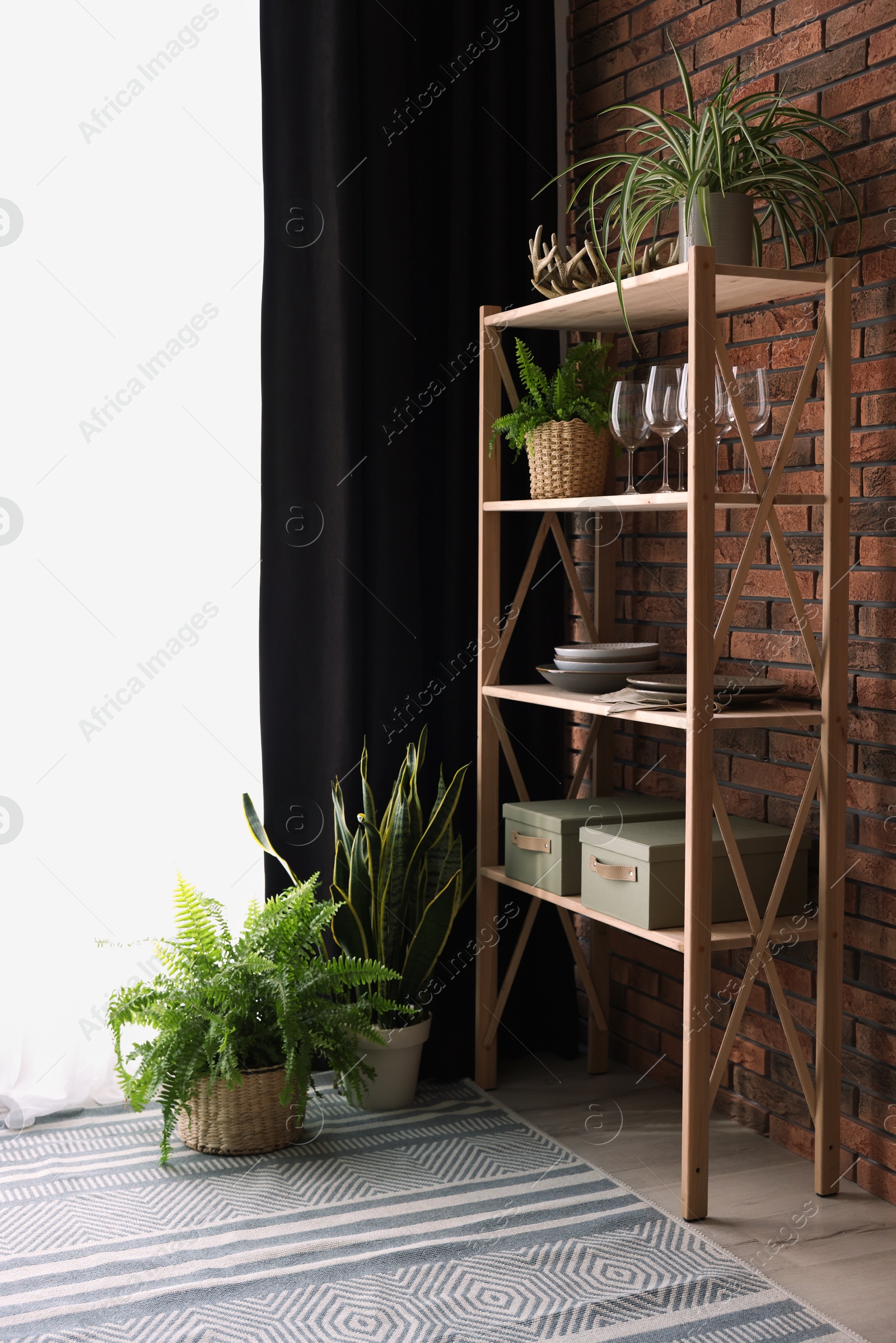 Photo of Shelving unit, green houseplants and elegant curtain in room. Interior design