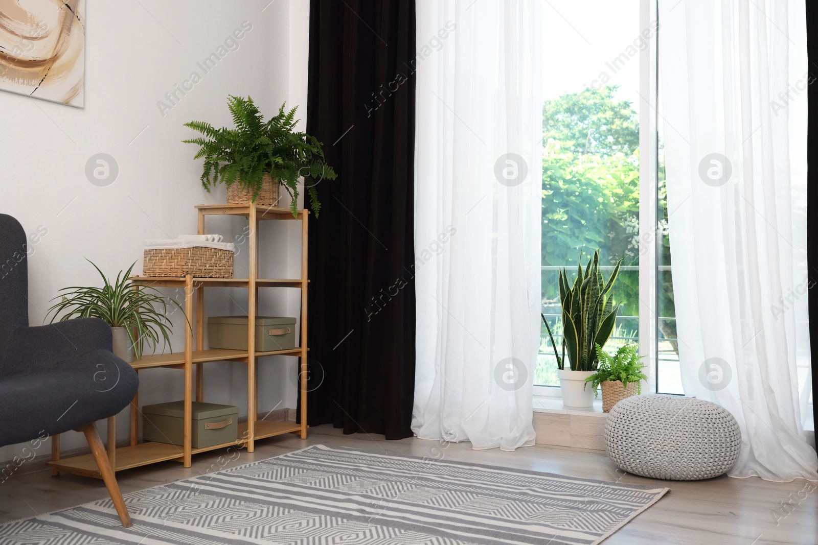 Photo of Shelving unit, sofa, green houseplants, pouffe and elegant curtains in room. Interior design