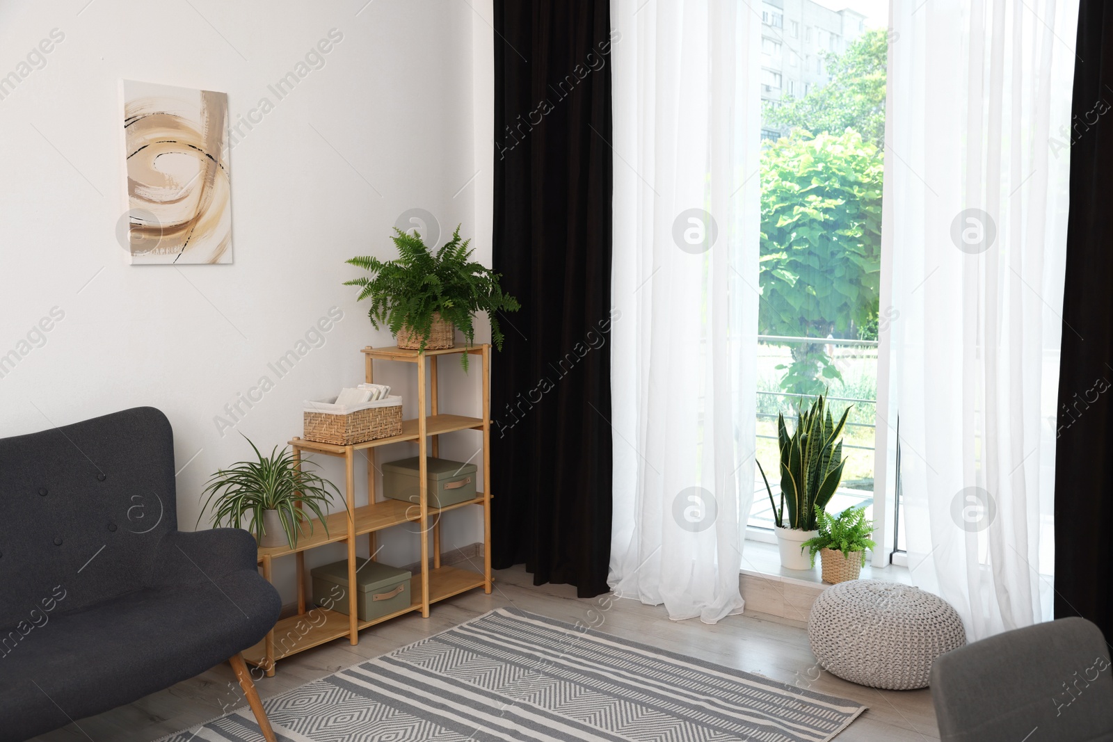 Photo of Shelving unit, sofa, green houseplants, pouffe and elegant curtains in room. Interior design