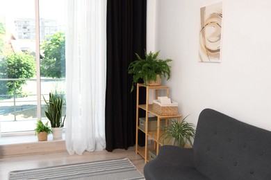 Photo of Shelving unit, sofa, green houseplants and elegant curtain in room. Interior design