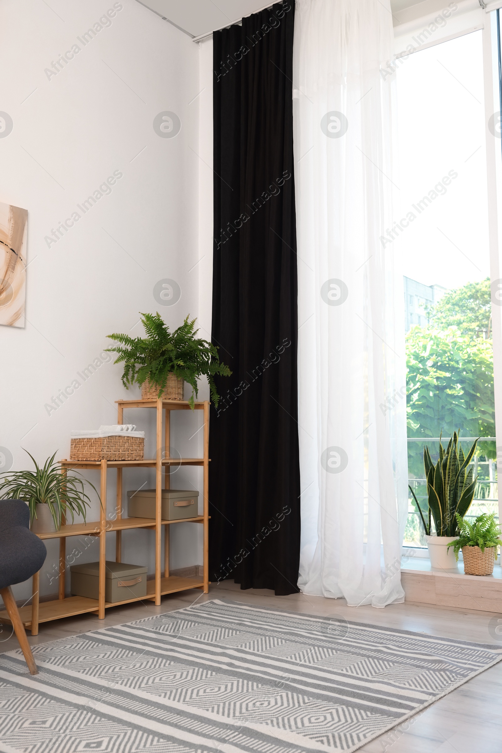 Photo of Shelving unit, green houseplants and elegant curtains in room. Interior design