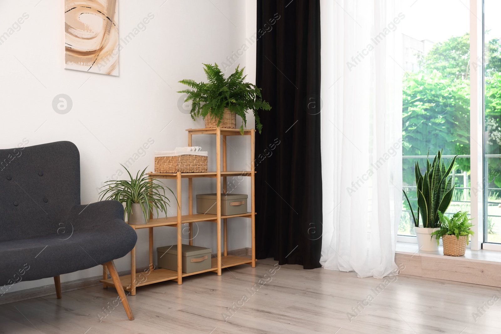 Photo of Shelving unit, sofa, green houseplants and elegant curtain in room. Interior design