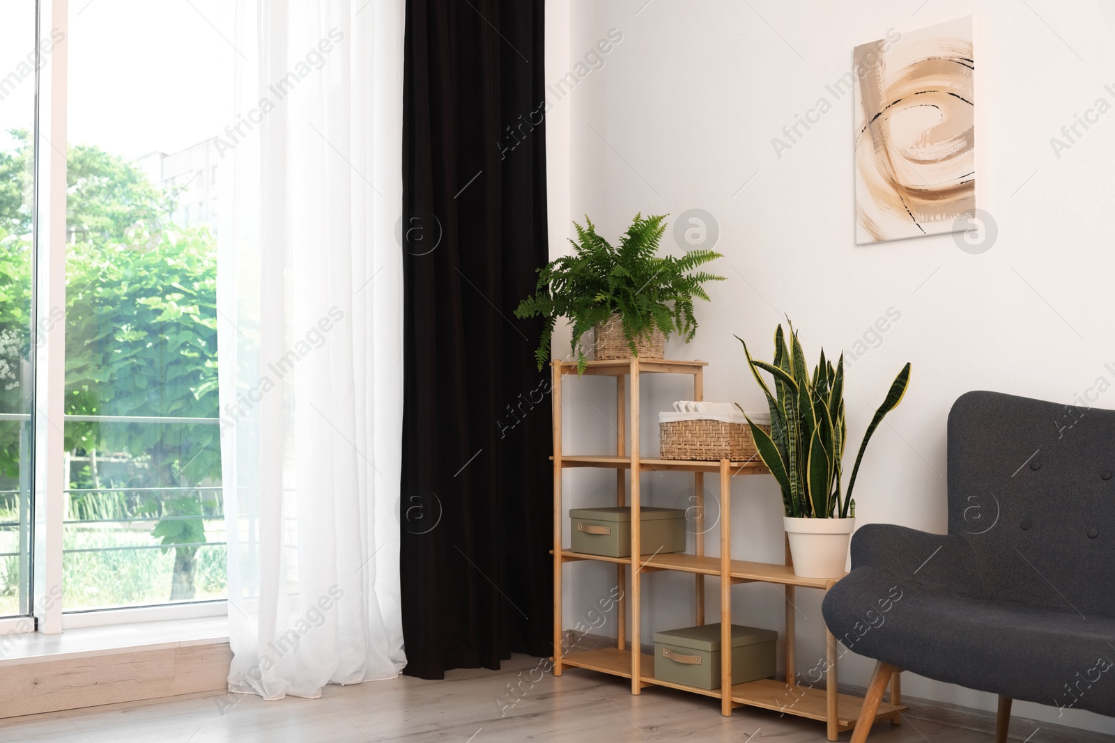 Photo of Shelving unit, sofa, green houseplants and elegant curtain in room. Interior design