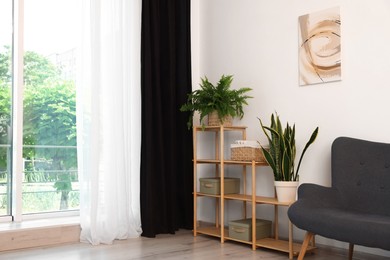 Photo of Shelving unit, sofa, green houseplants and elegant curtain in room. Interior design