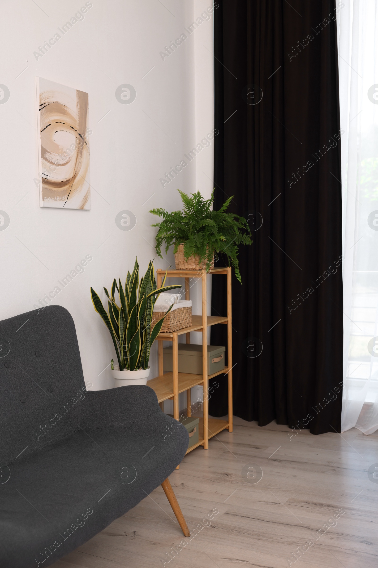 Photo of Shelving unit, sofa, green houseplants and elegant curtain in room. Interior design