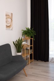 Photo of Shelving unit, sofa, green houseplants and elegant curtain in room. Interior design