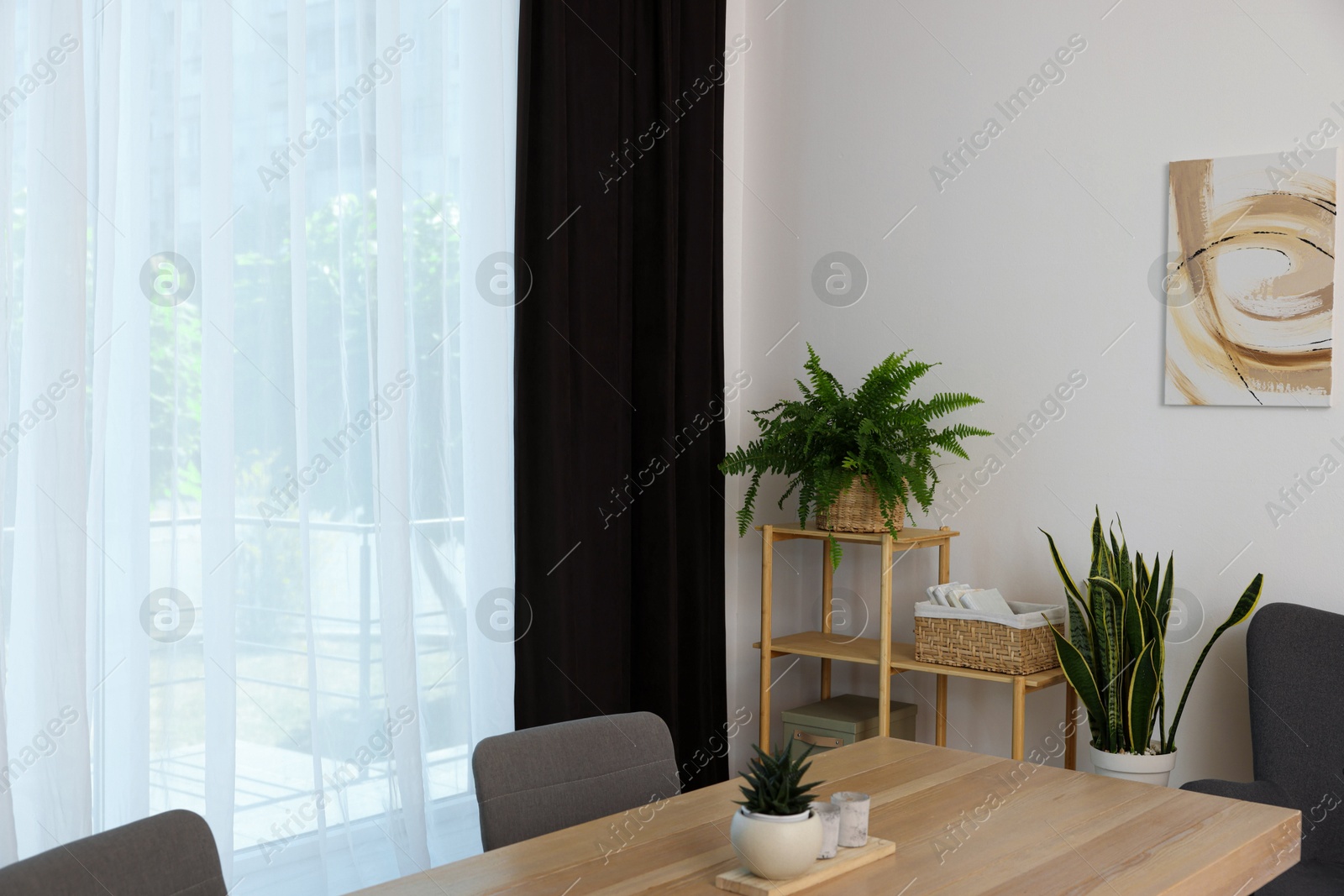 Photo of Stylish furniture, green houseplants and elegant curtain in room. Interior design