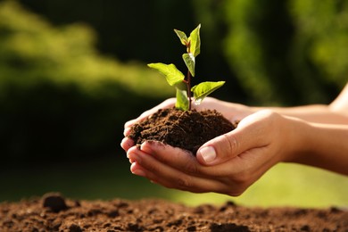 Woman holding seedling with soil outdoors, closeup. Space for text