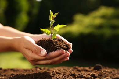 Photo of Woman holding seedling with soil outdoors, closeup. Space for text