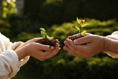 Photo of Couple holding seedlings with soil outdoors, closeup