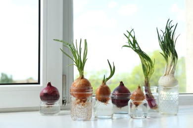 Photo of Many sprouted onions in glasses with water on window sill