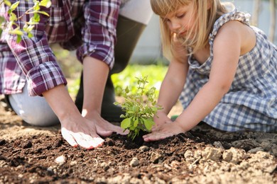 Photo of Mother and her cute daughter planting tree together in garden, closeup
