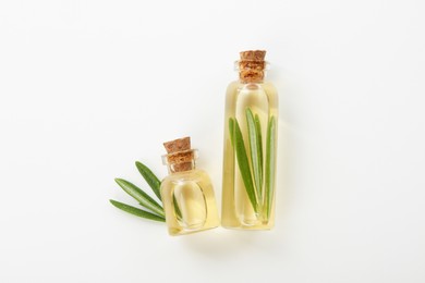 Bottles of rosemary essential oil on white background, flat lay