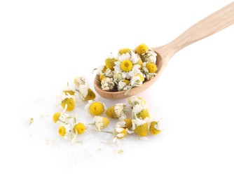 Fresh and dry chamomile flowers in wooden spoon isolated on white