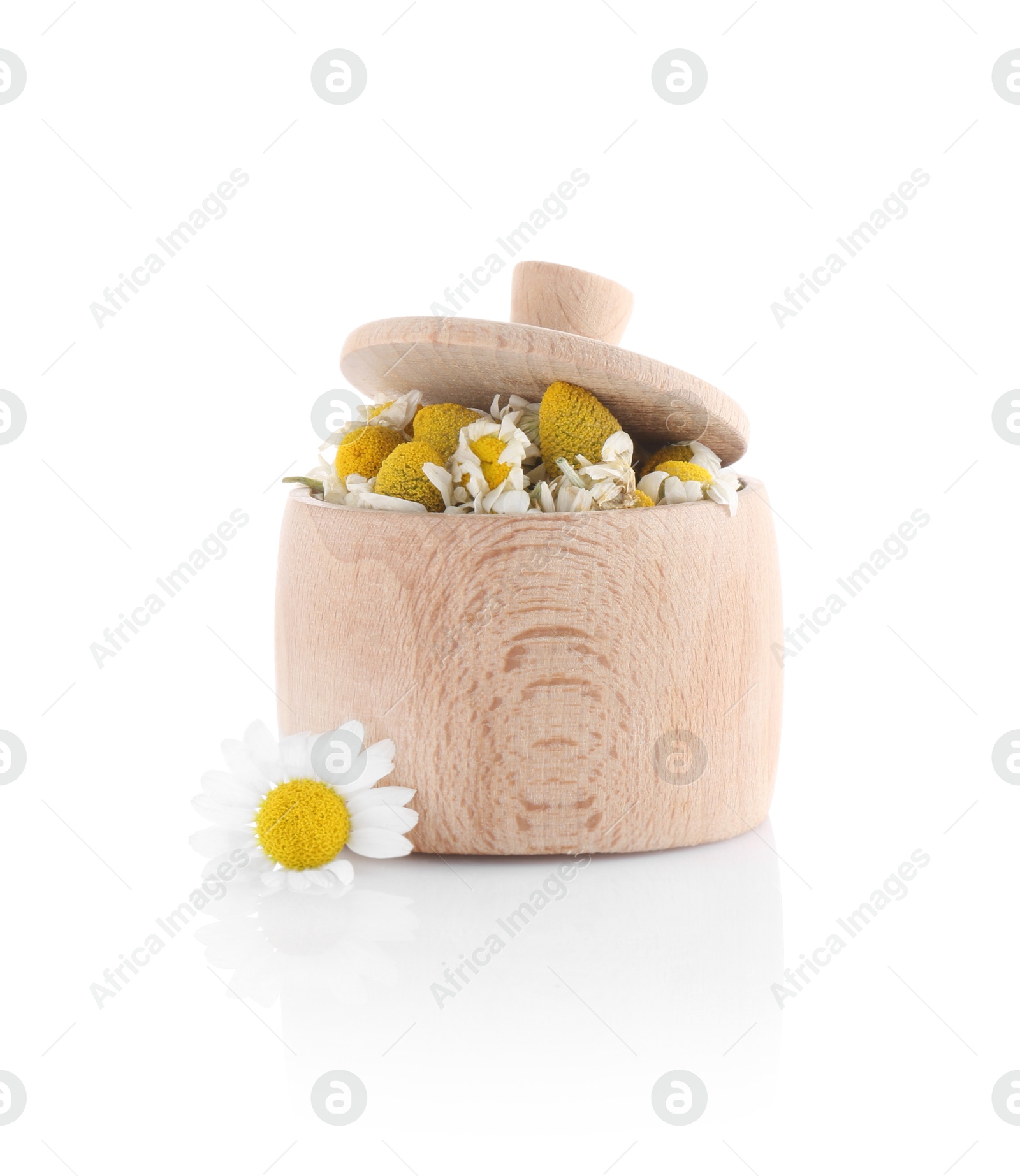 Photo of Fresh and dry chamomile flowers in wooden bowl isolated on white