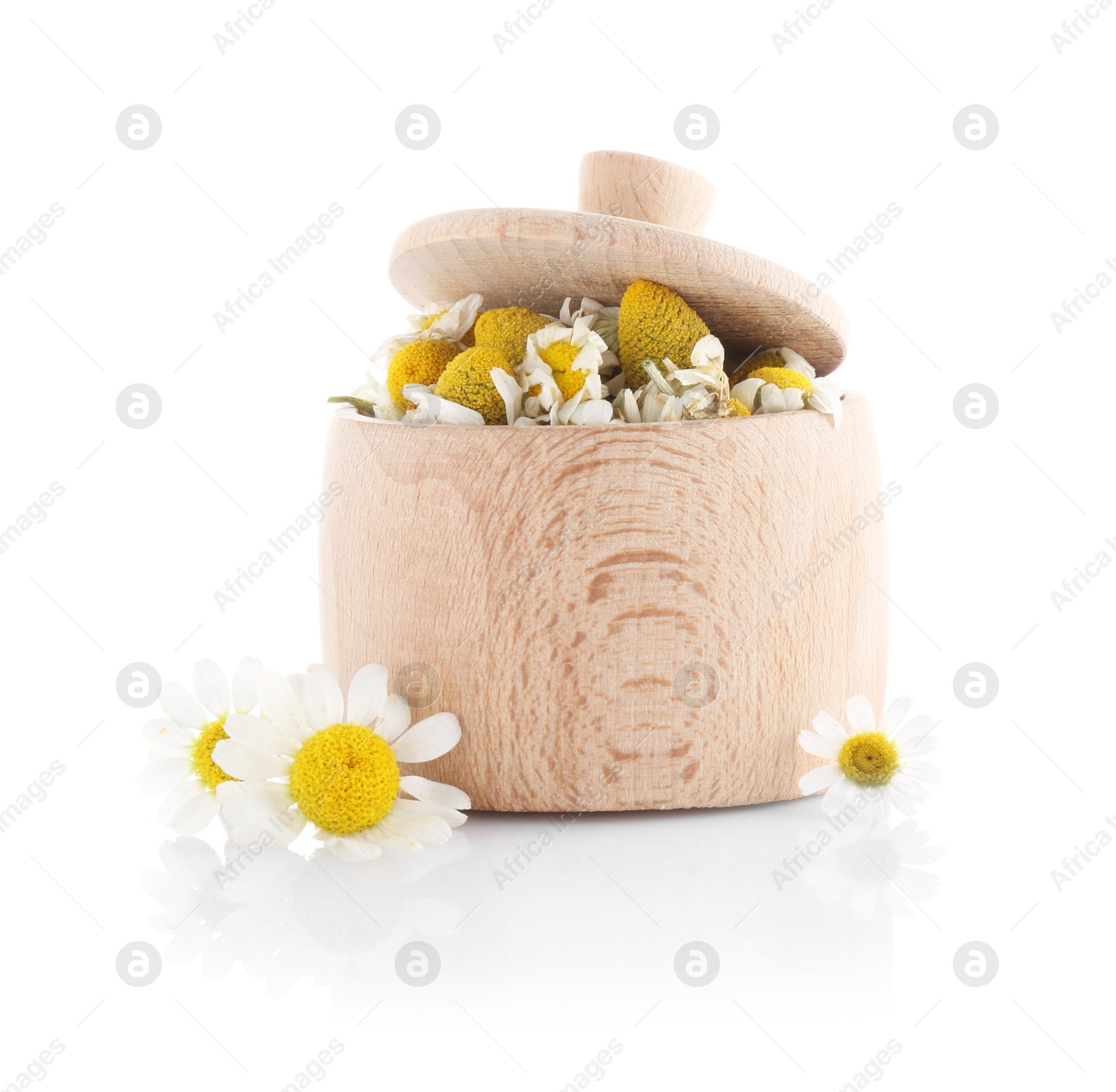 Photo of Fresh and dry chamomile flowers in wooden bowl isolated on white