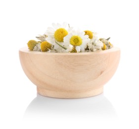 Photo of Fresh and dry chamomile flowers in wooden bowl isolated on white