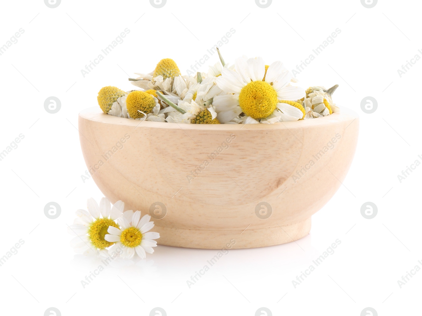 Photo of Fresh and dry chamomile flowers in wooden bowl isolated on white