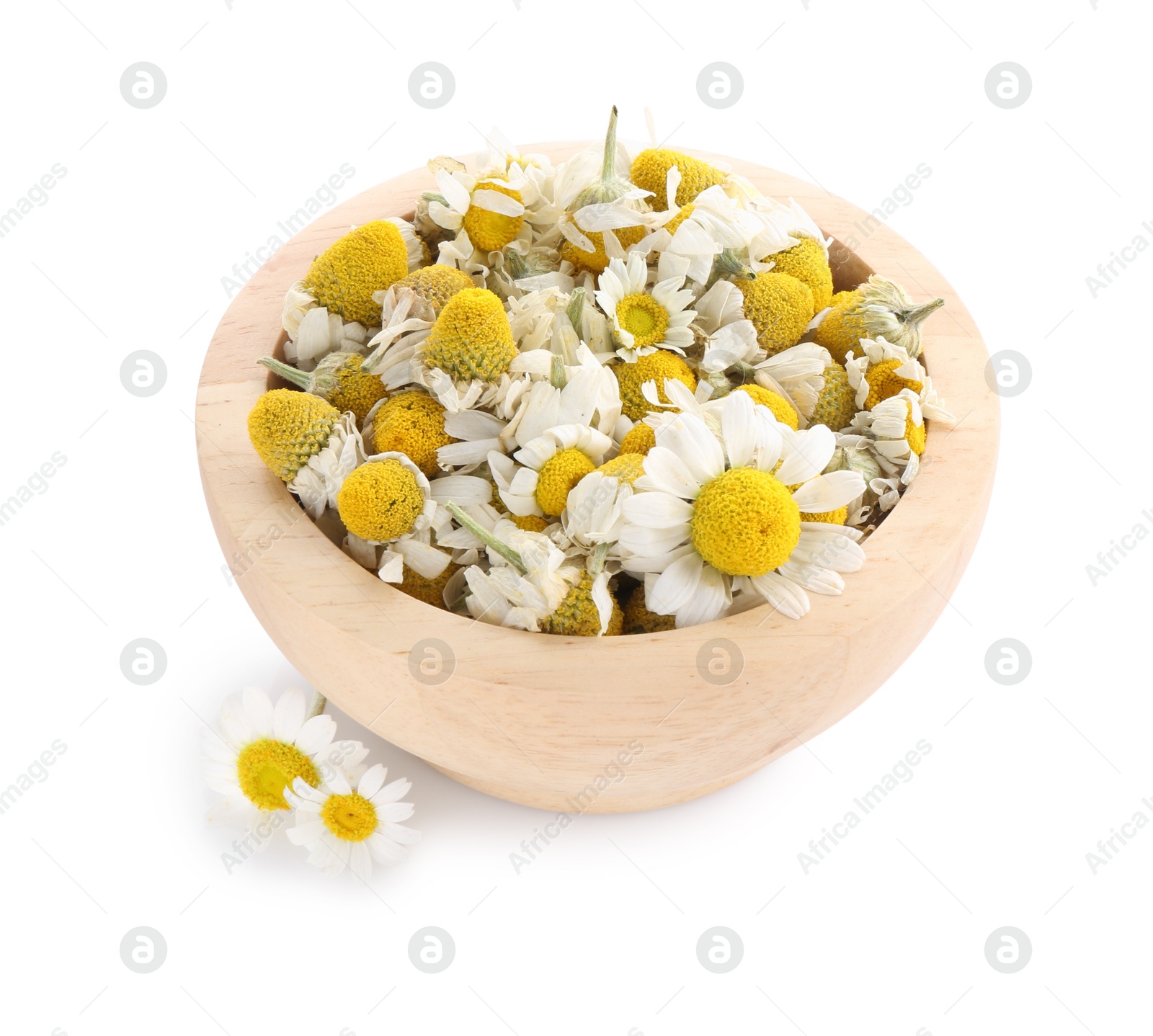 Photo of Fresh and dry chamomile flowers in wooden bowl isolated on white