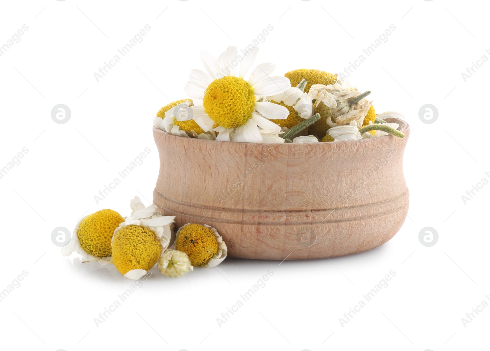 Photo of Fresh and dry chamomile flowers in wooden bowl isolated on white