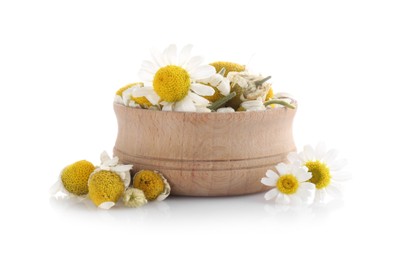 Fresh and dry chamomile flowers in wooden bowl isolated on white