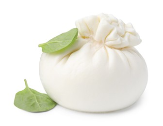 Photo of Fresh delicious burrata cheese and basil isolated on white