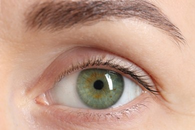 Photo of Woman with beautiful green eyes, macro photo