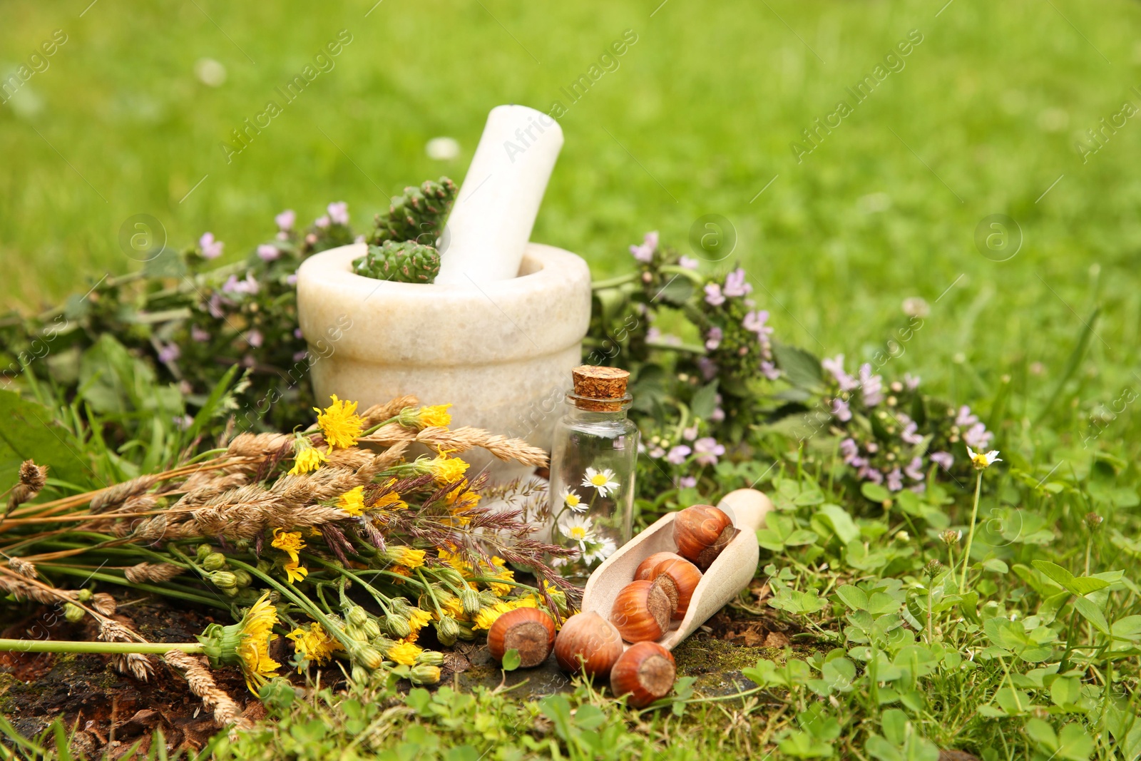 Photo of Different ingredients for tincture, mortar and pestle outdoors