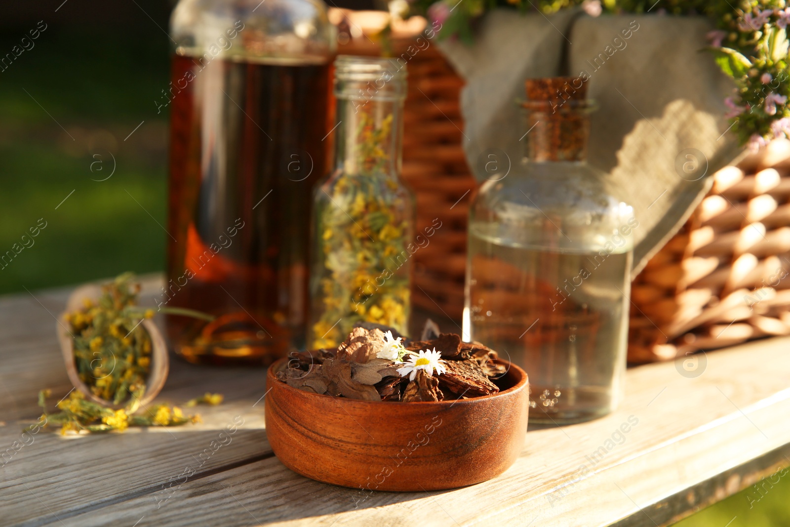 Photo of Different tinctures in bottles, bark chips and flowers on wooden bench outdoors, closeup